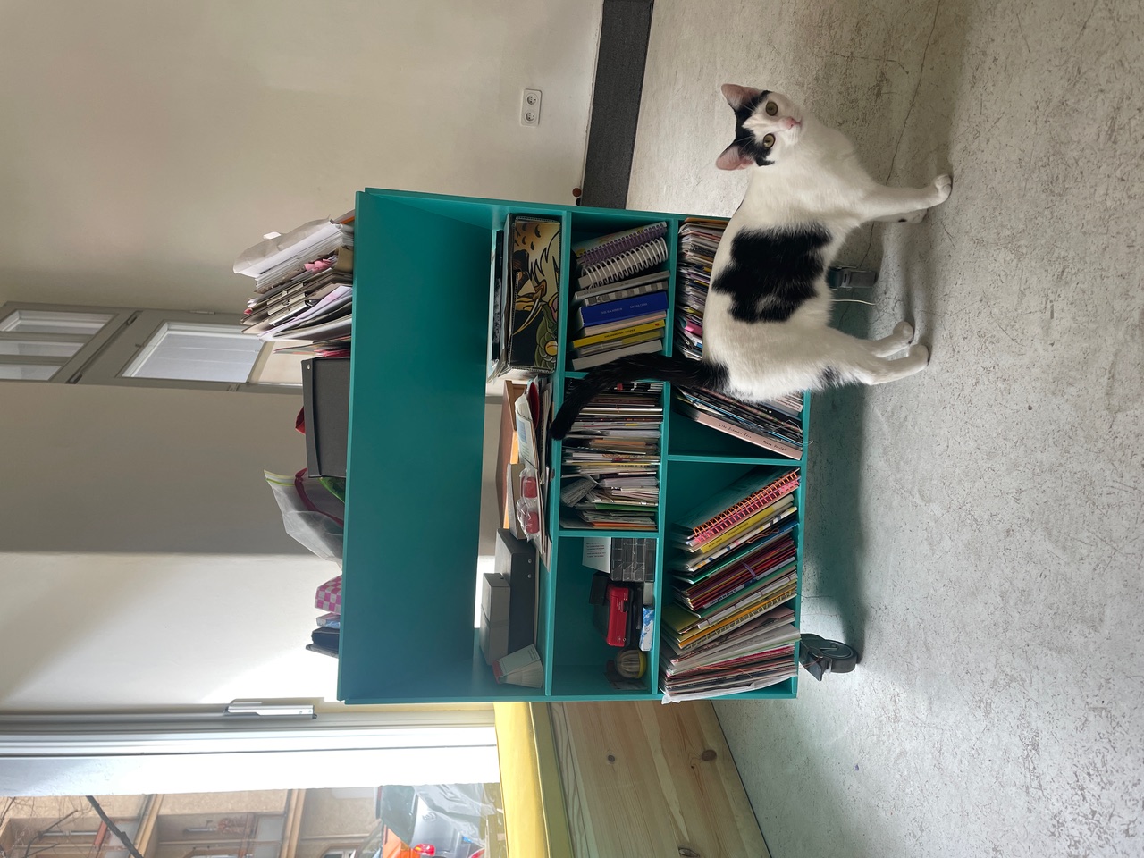 Mobile book trolley built by Adrian Schiesser that currently holds April’s zine collection, with Nikita the cat supervising.
