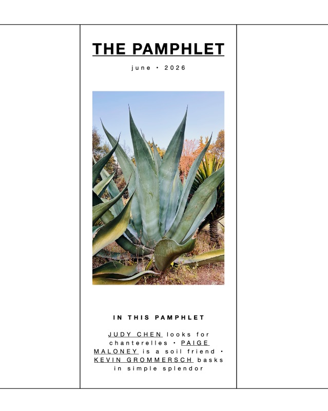 THE PAMPHLET / EL FOLLETO cover