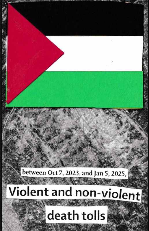 Non-violent and violent death tolls in Palestine cover