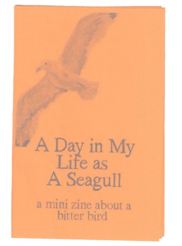 A Day In My Life As a Seagull (a mini-zine about a bitter bird) cover