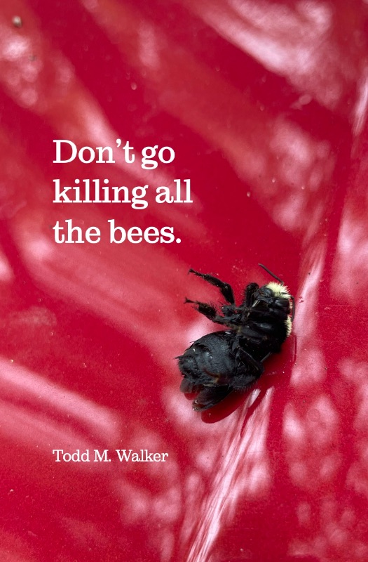 Don't Go Killing All the Bees cover