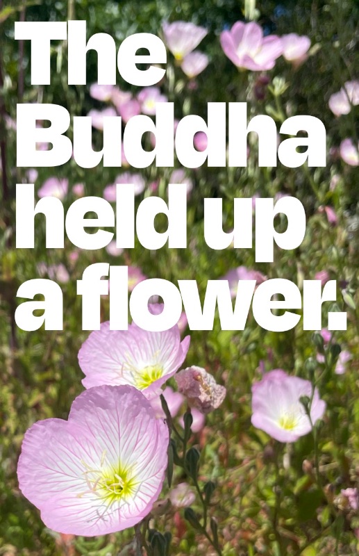 The Buddha Held Up a Flower cover