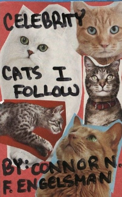 Celebrity Cats I Follow cover