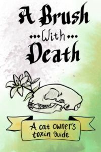 A Brush With Death cover