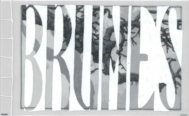 Brumes cover