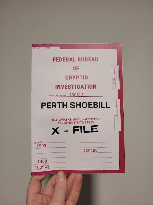 Shoebill X-File cover