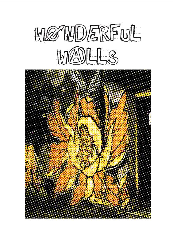 Wonderful Walls cover