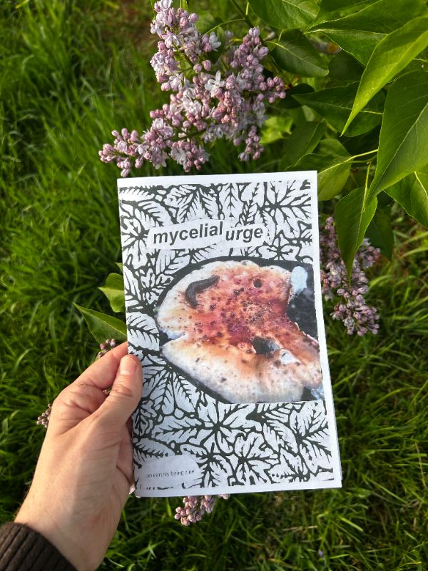mycelial urge - poetry zine cover