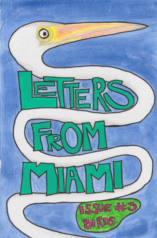 Letters From Miami - Issue #3 (Birds) cover