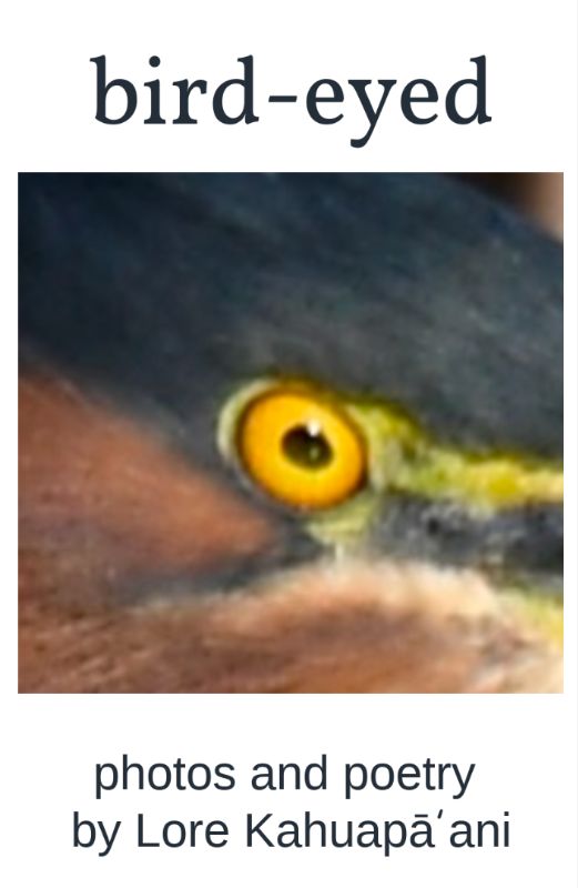 bird-eyed cover