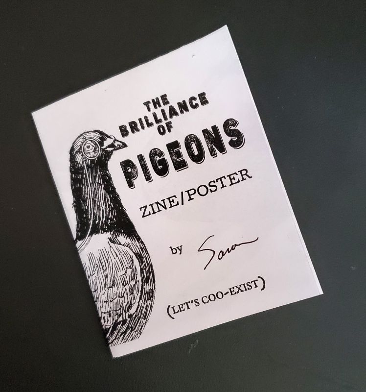 The Brilliance of Pigeons cover