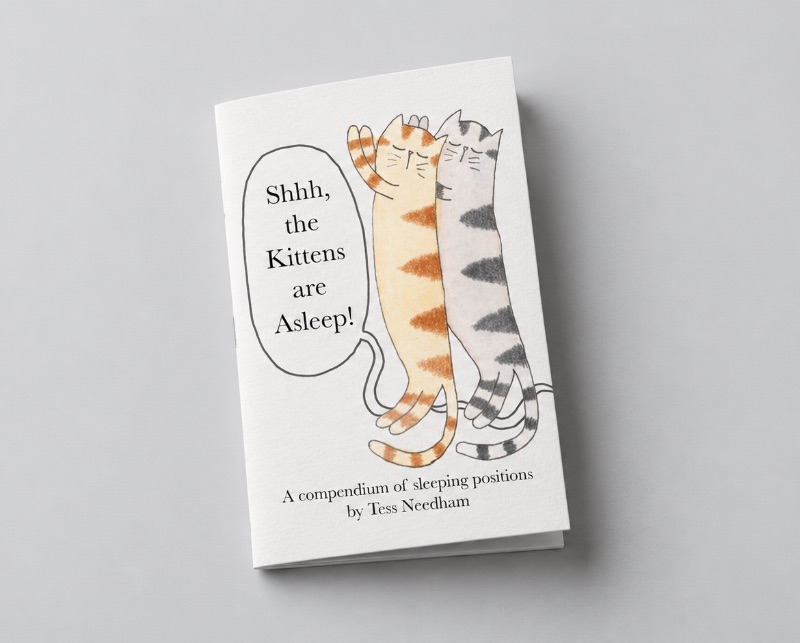 Shhh, the Kittens are Asleep! cover