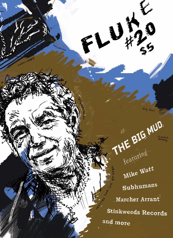 Fluke 20: The Big Mud cover