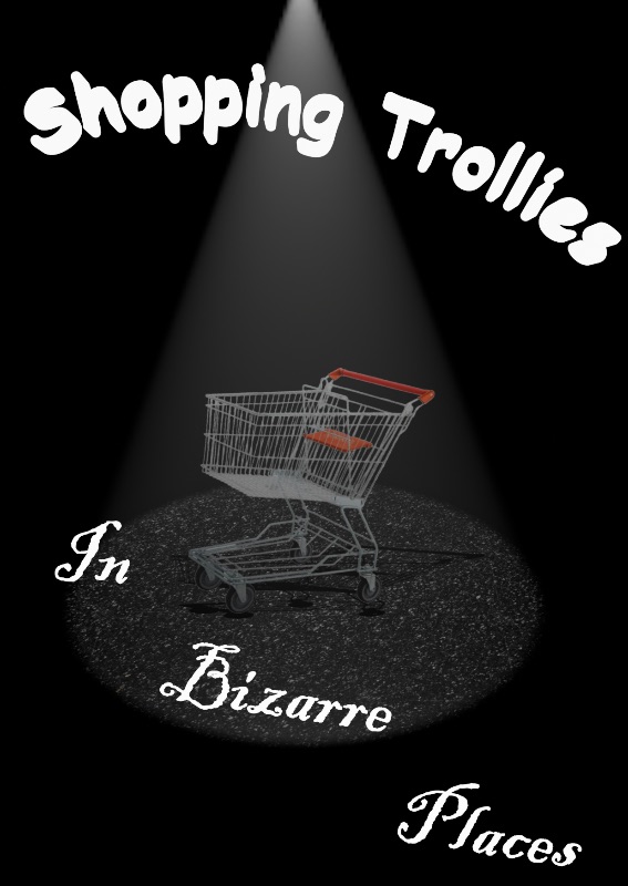 Shopping Trollies in Peculiar Places. cover