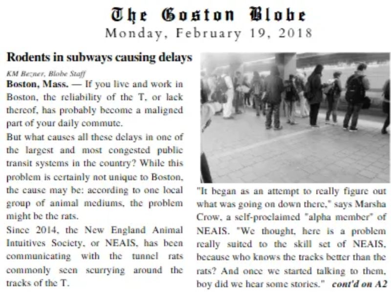 The Goston Blobe cover