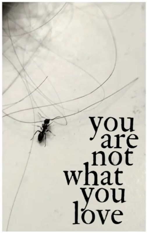 You Are Not What You Love cover